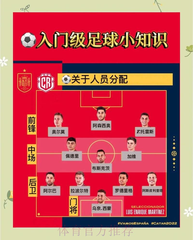世界杯高清观赛与投注指南：全方位攻略